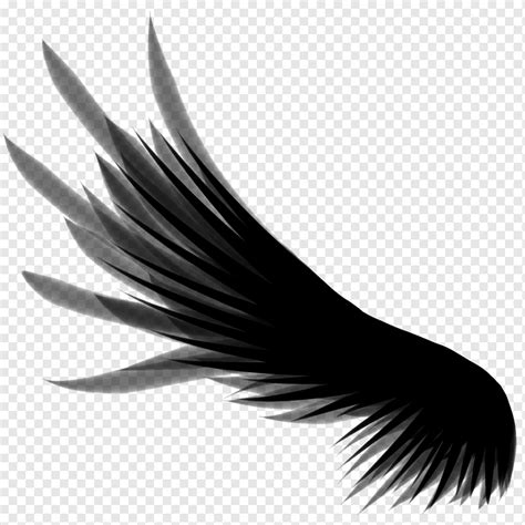 png wing|pngwing.com.